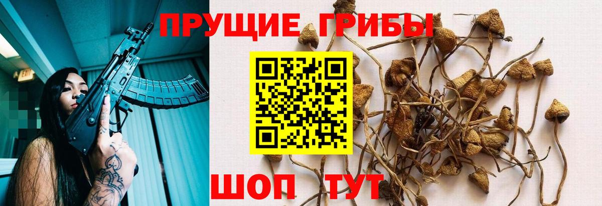 Галлюциногенные грибы ЛСД  Вход с VPN  купить закладку  Киров 