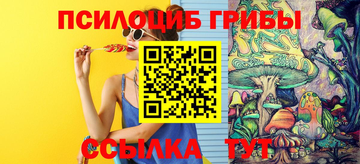Галлюциногенные грибы мицелий Киров
